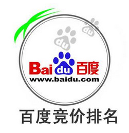 专业建外贸网站的公司